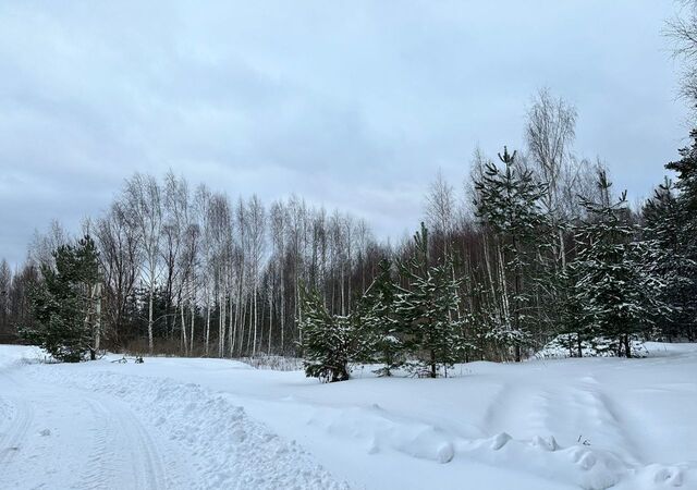 муниципальное образование Вяткинское, Радужный фото