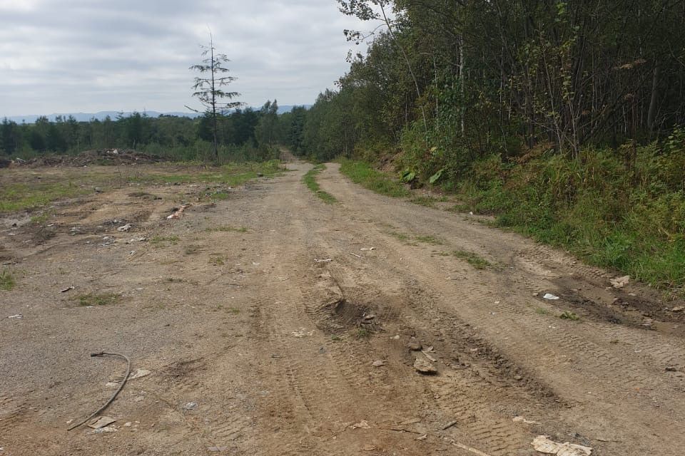 земля г Южно-Сахалинск городской округ Южно-Сахалинск, планировочный район Лиственничное фото 4