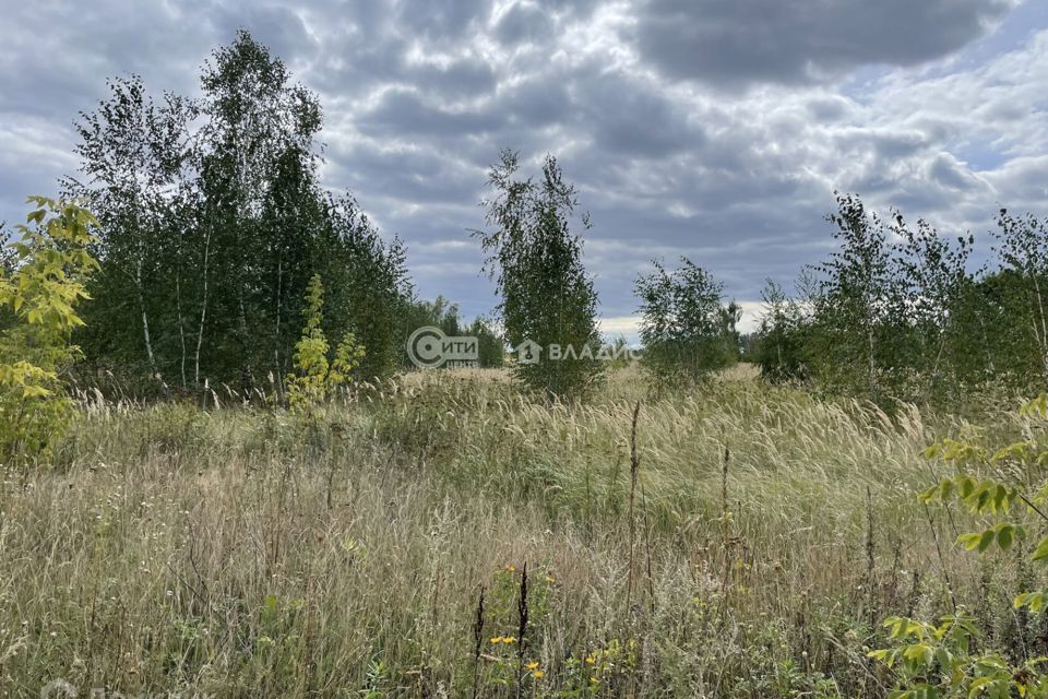 земля г Воронеж р-н Левобережный городской округ Воронеж, микрорайон Совхоз Зареченский фото 1