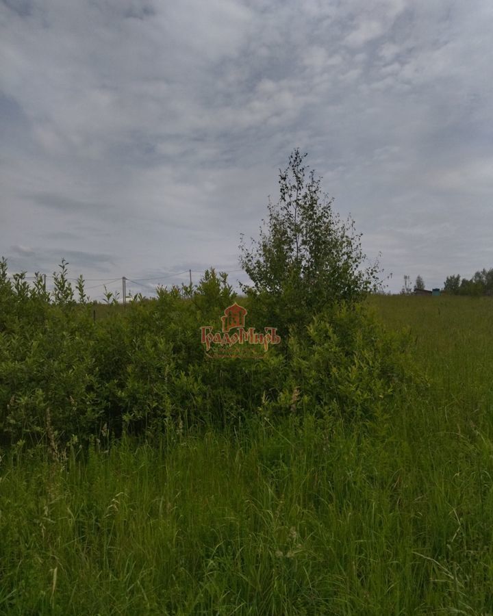 земля городской округ Мытищи д Голенищево Икша фото 13