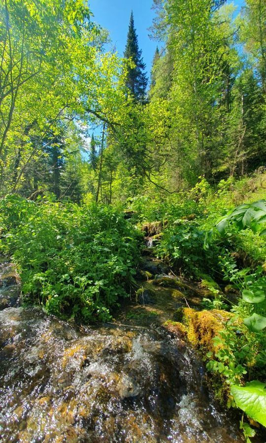 земля р-н Чемальский с Анос ул Центральная Горно-Алтайск фото 23