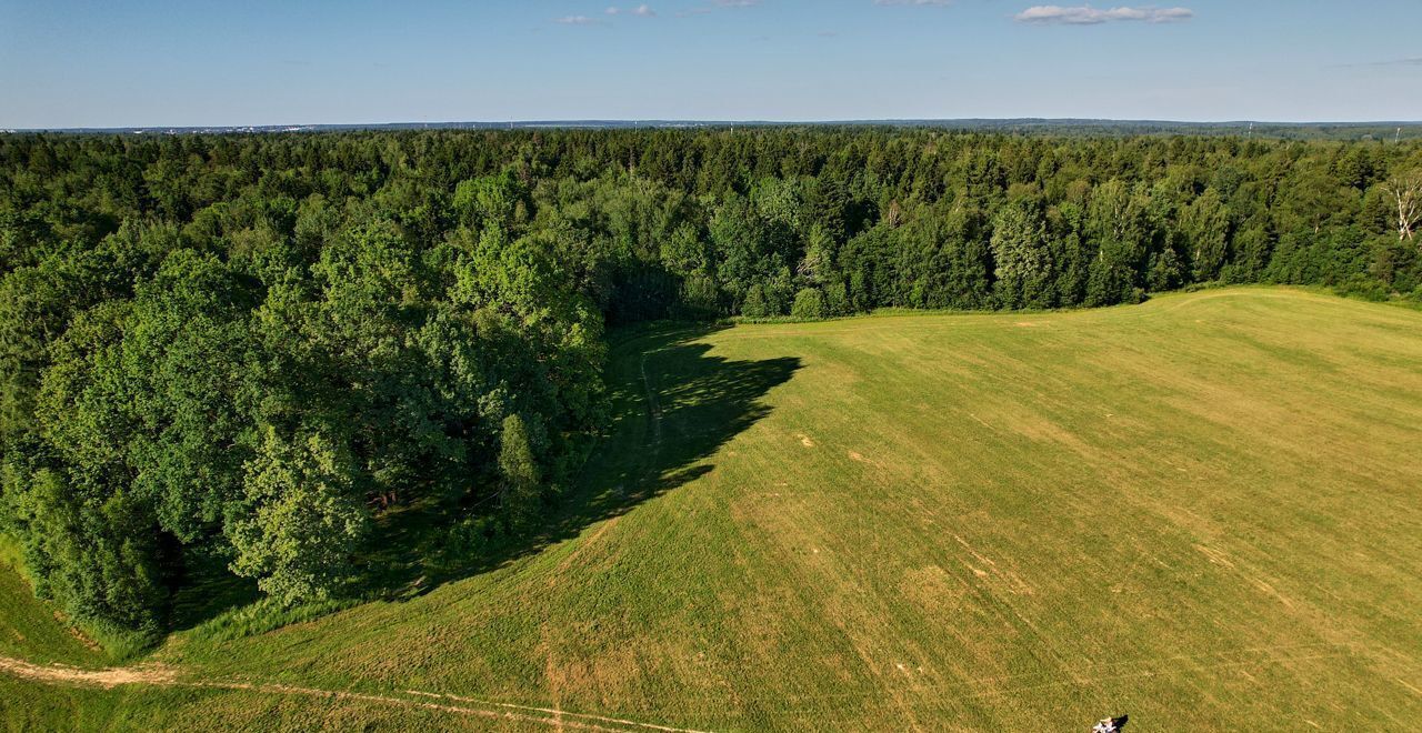 земля городской округ Пушкинский п Ашукино 46Н-09054 фото 3