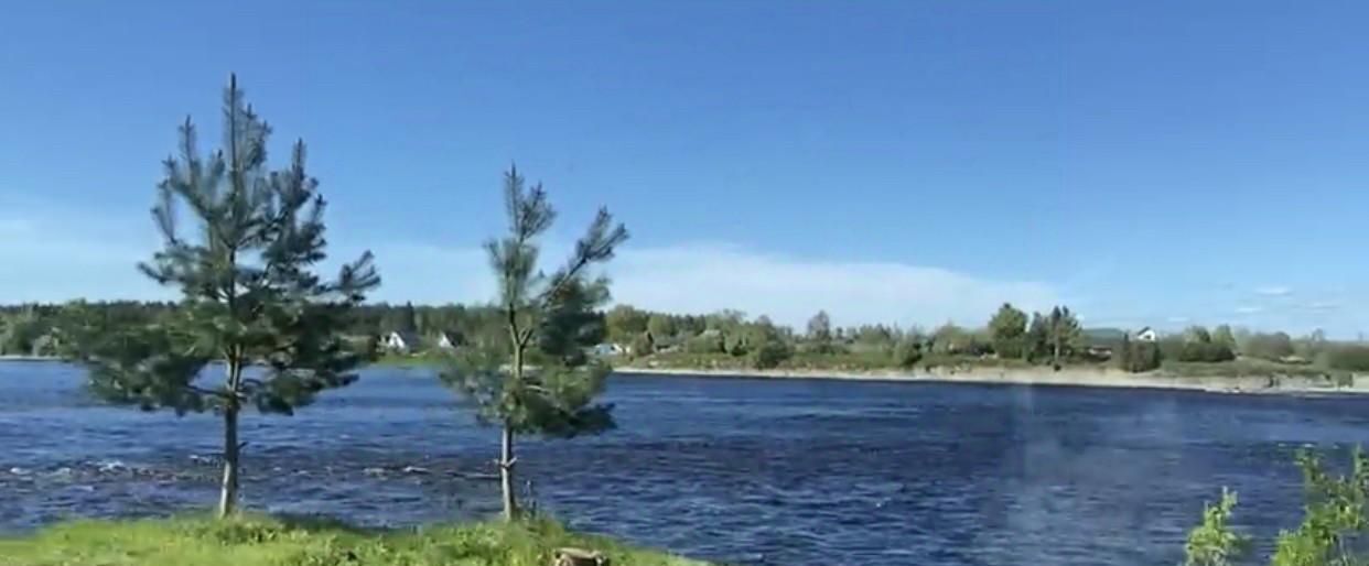 земля р-н Псковский д Волженец Ядровская волость фото 1