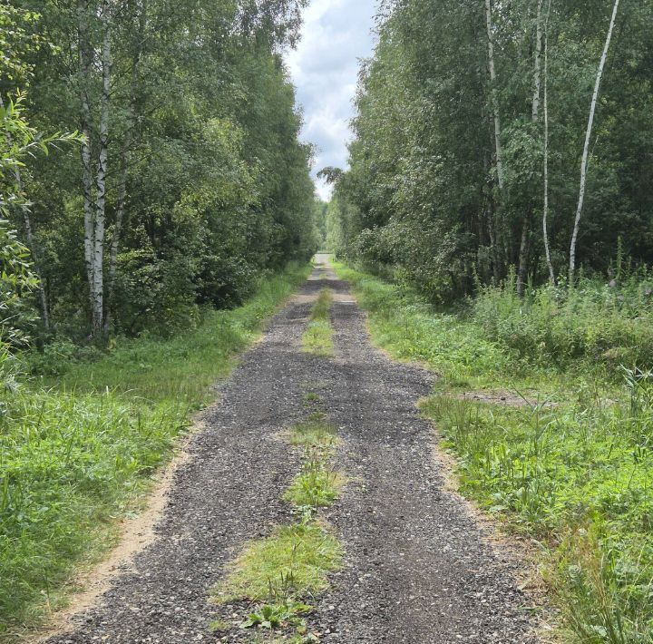 земля городской округ Клин д Масюгино СНТ «Ветеран», 153, городской округ Клин, Решетниково фото 13