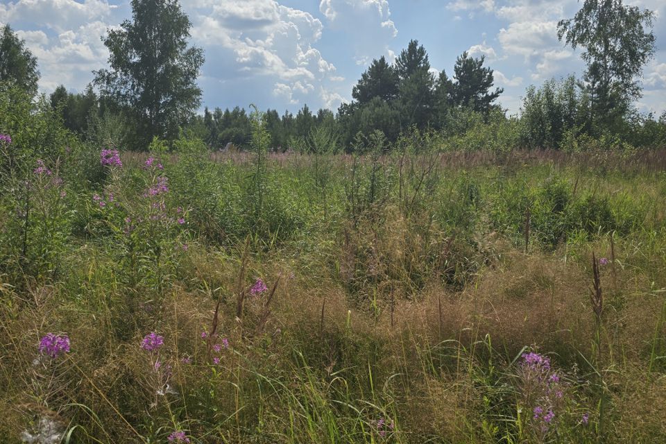 земля городской округ Павловский Посад Коттеджный посёлок Новый Радужный фото 8