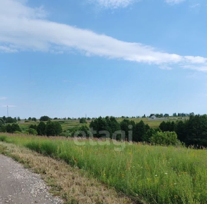 земля р-н Богородский д Килелей ул Яблоневая фото 9