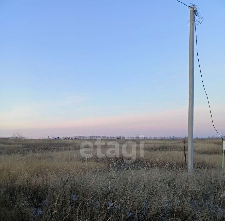 земля г Ульяновск с Луговое ул Рогачёва фото 5