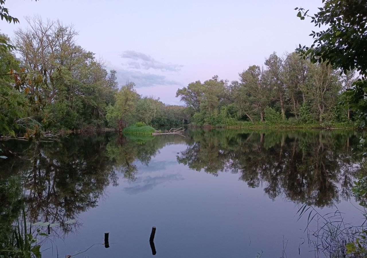 земля г Кинель пгт Алексеевка Новая Алексеевка, массив фото 2