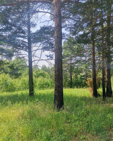 земля Уриковское муниципальное образование, Иркутск фото