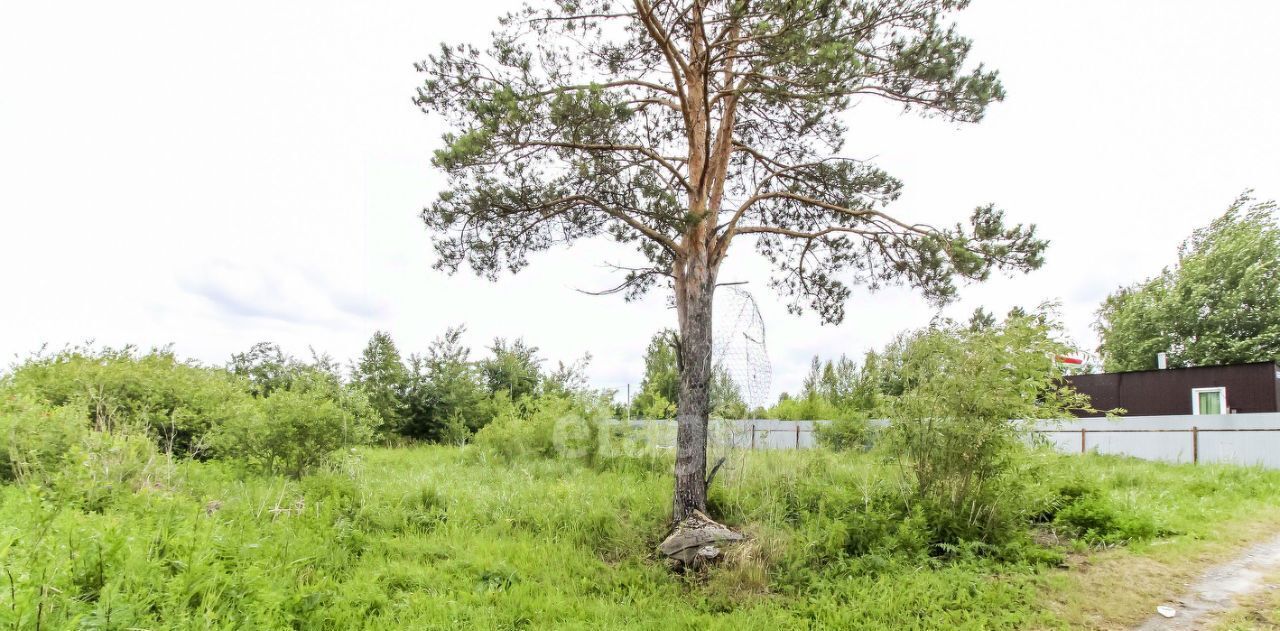 земля г Тюмень р-н Центральный снт Дорожник проезд Рябиновый фото 12