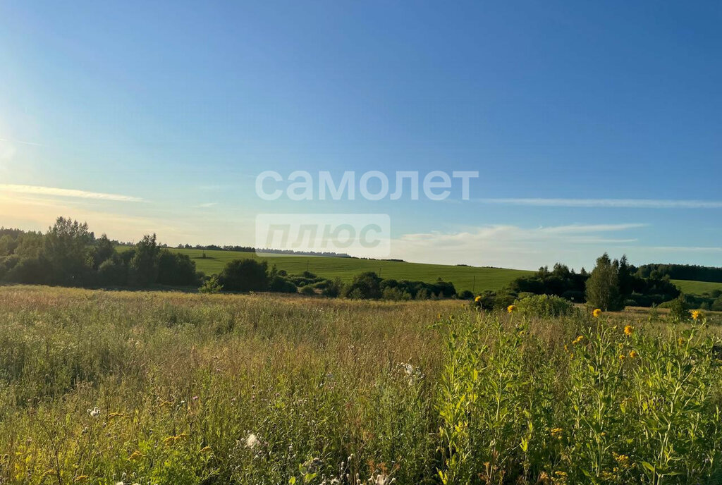 земля р-н Красносельский с Сунгурово Подольское сельское поселение фото 3