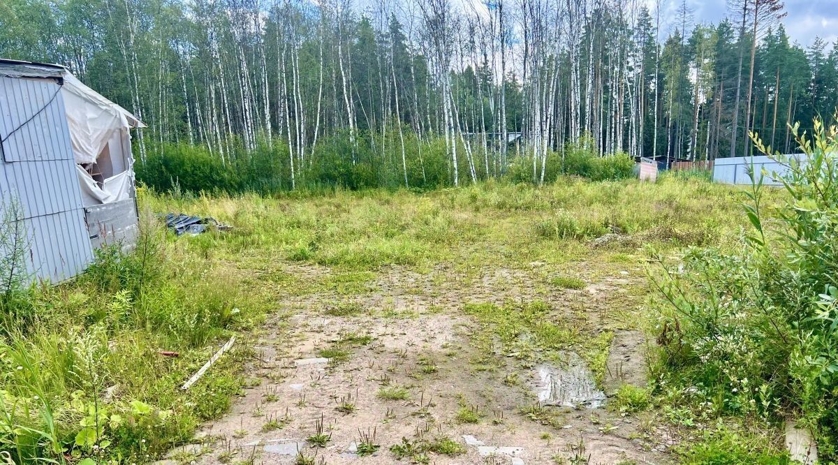 земля р-н Всеволожский массив Белоостров снт Осинка Сертоловское городское поселение, 11-я линия фото 26