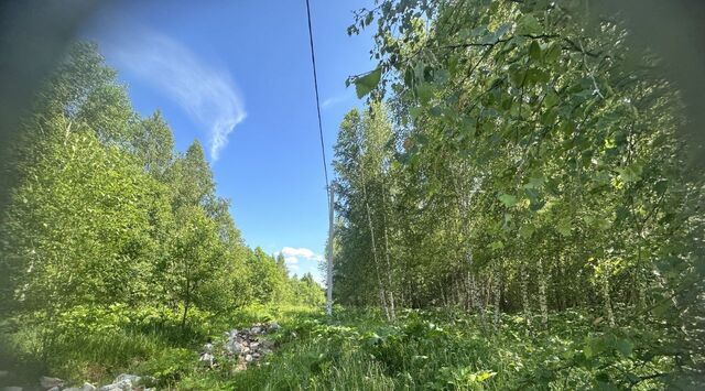 направление Рижское (северо-запад) ш Волоколамское Рузский городской округ, Руза фото