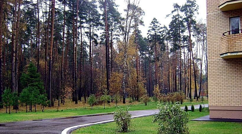 квартира городской округ Домодедово д Одинцово территория Бор Подольск, 10 фото 34