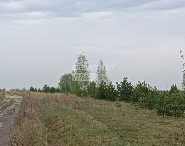 земля М-7, подъезд к Владимиру, 7-й километр фото