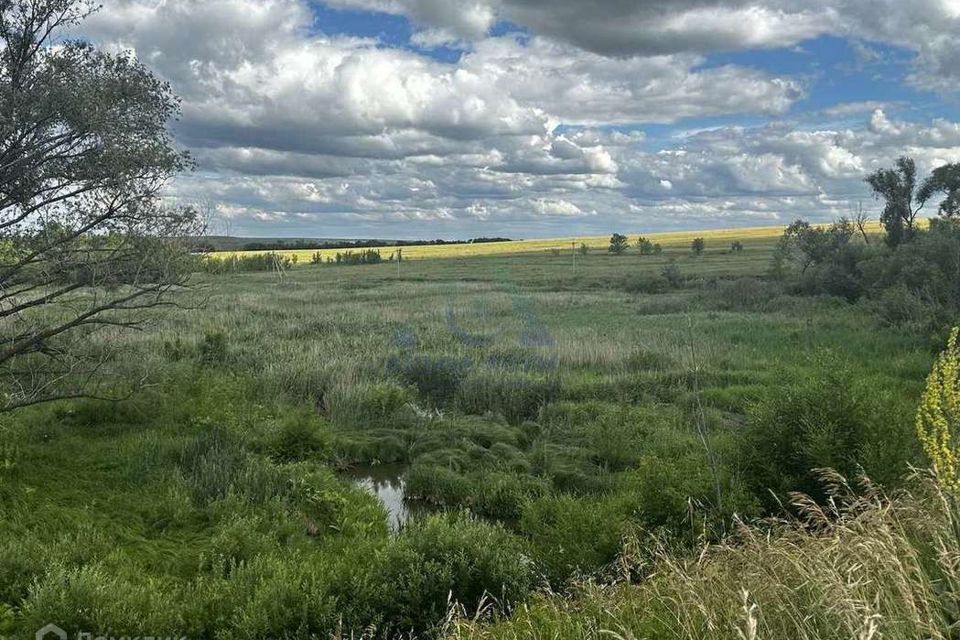 земля р-н Оренбургский с Зубаревка ул Центральная фото 2