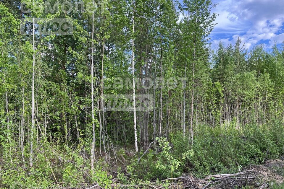 земля г Сыктывкар пгт Верхняя Максаковка ул 3-я Белоборская городской округ Сыктывкар фото 6