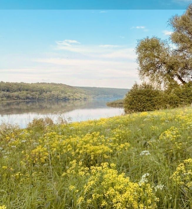 земля р-н Спасский д Острая Лука Перкинское с/пос фото 1