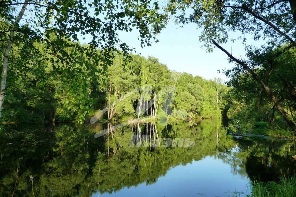 земля городской округ Ленинский п Мещерино мкр Южные горки фото 16