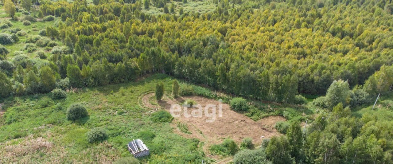 земля р-н Нижнетавдинский снт Лебедушка ул 4-я СПК фото 4