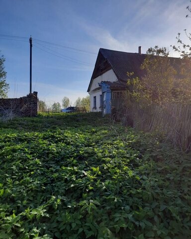 д Антоново Пушкинские Горы фото