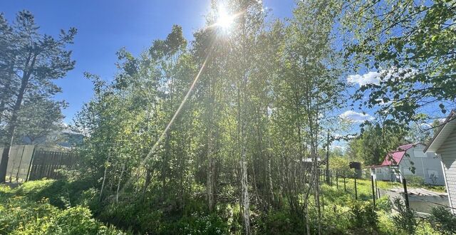 снт Центр 11, Волоколамский г. о., Волоколамск фото