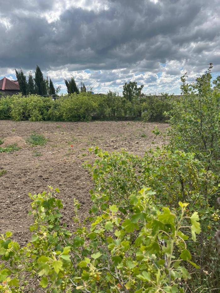 земля г Евпатория пгт Новоозерное городской округ Евпатория, д. 62 фото 2