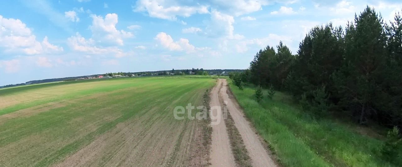 земля р-н Тугулымский с Мальцево ул Дачная фото 4