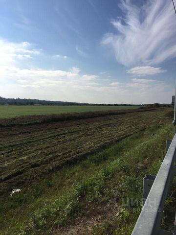 ул Братьев Пожарских 10 Путиловское сельское поселение, Назия фото ул Братьев Пожарских 10 Путиловское сельское поселение, Назия фото