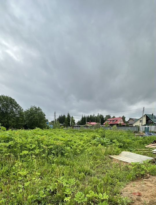 земля городской округ Солнечногорск д Миронцево фото 19