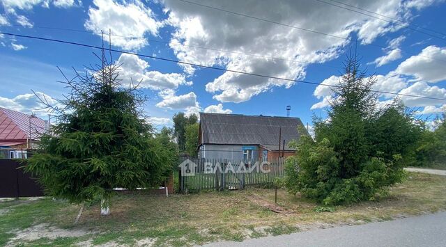 ул Социальная 38 фото