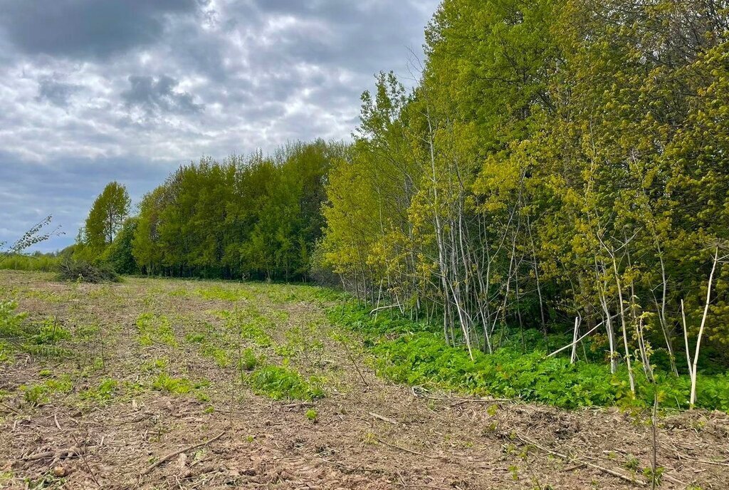 земля городской округ Клин д Голенищево фото 6