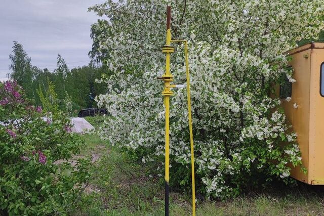 д Дачное городской округ Омск, некоммерческое товарищество Лювена-Сад, 11-я аллея, 182 фото