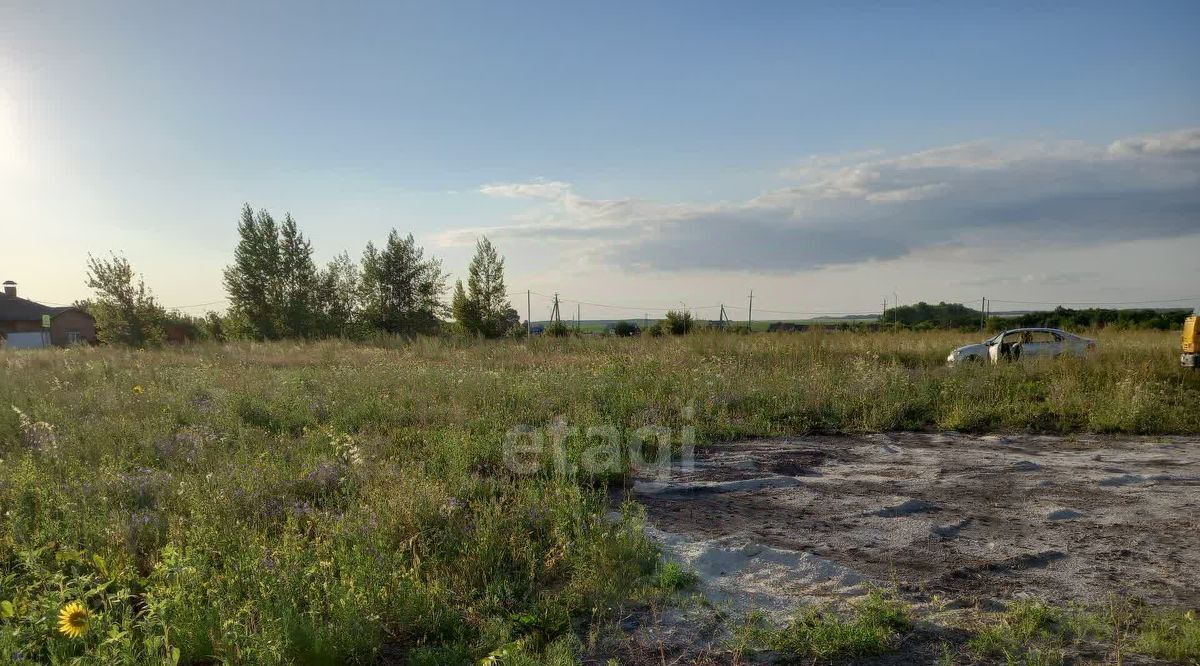 земля р-н Губкинский с Аверино ул Полевая фото 9