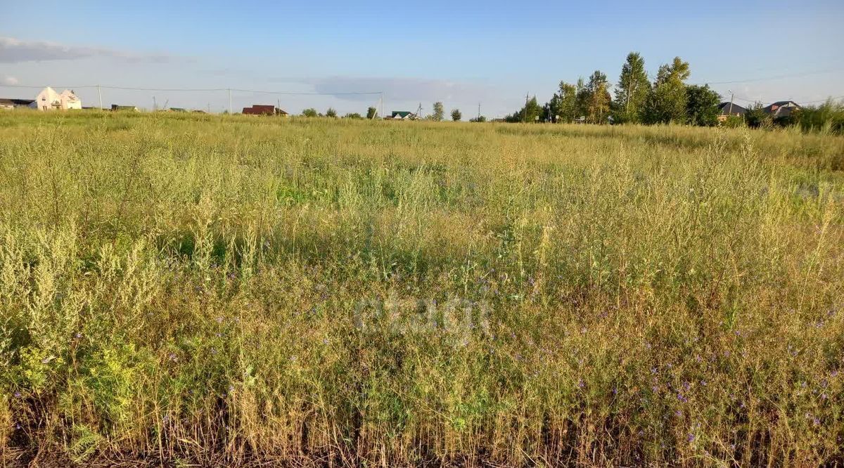 земля р-н Губкинский с Аверино ул Полевая фото 14