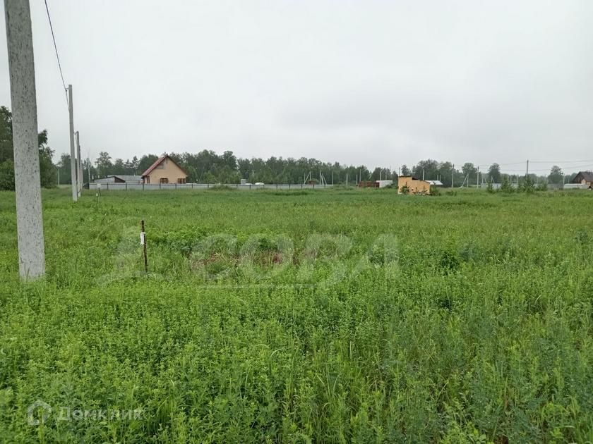 земля г Тюмень снт Зеленый бор ул Победы городской округ Тюмень, Бор фото 4