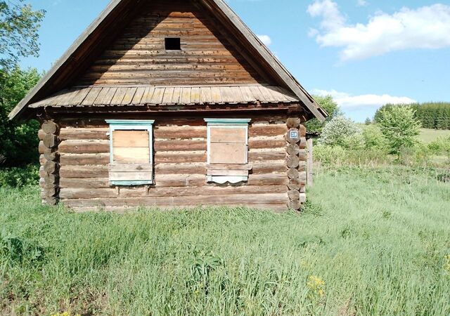 ул Центральная Чернушка фото