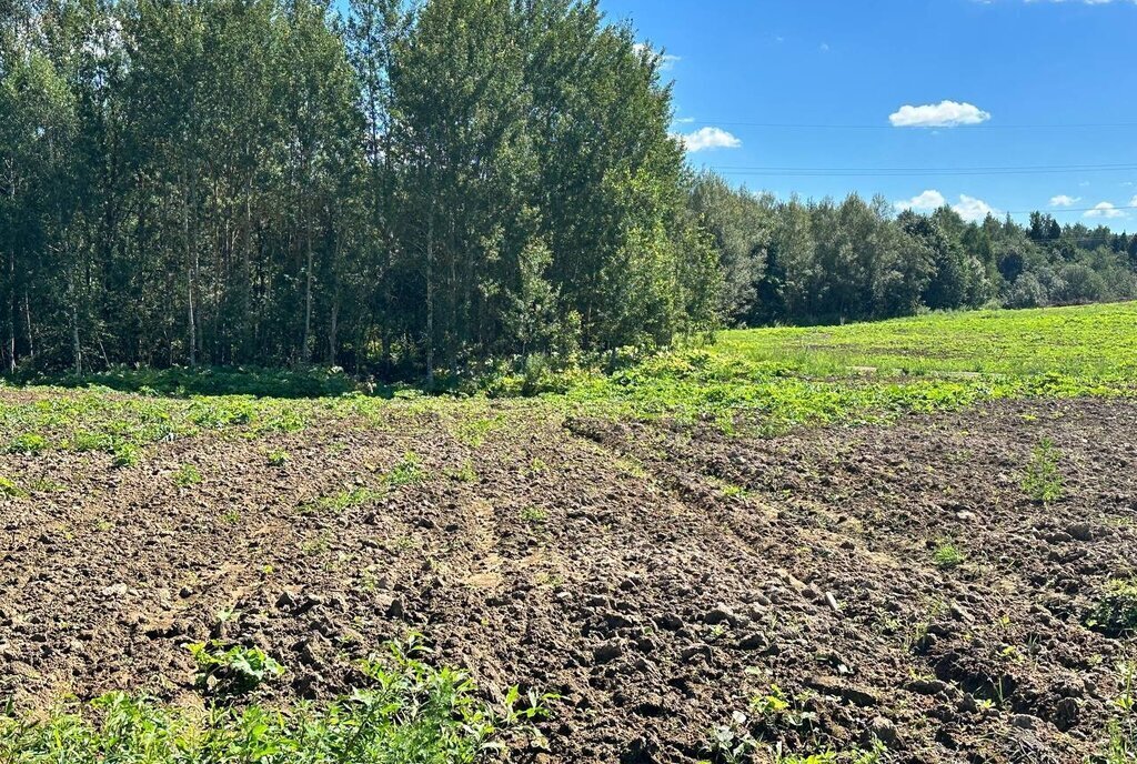 земля городской округ Клин д Акатьево фото 12