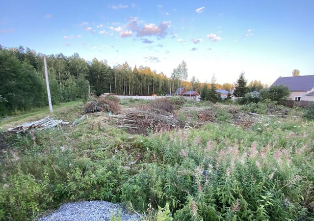 земля снт Романовка Мурманское шоссе, 27 км, Морозовское городское поселение, 12-я линия, 171, Морозова фото