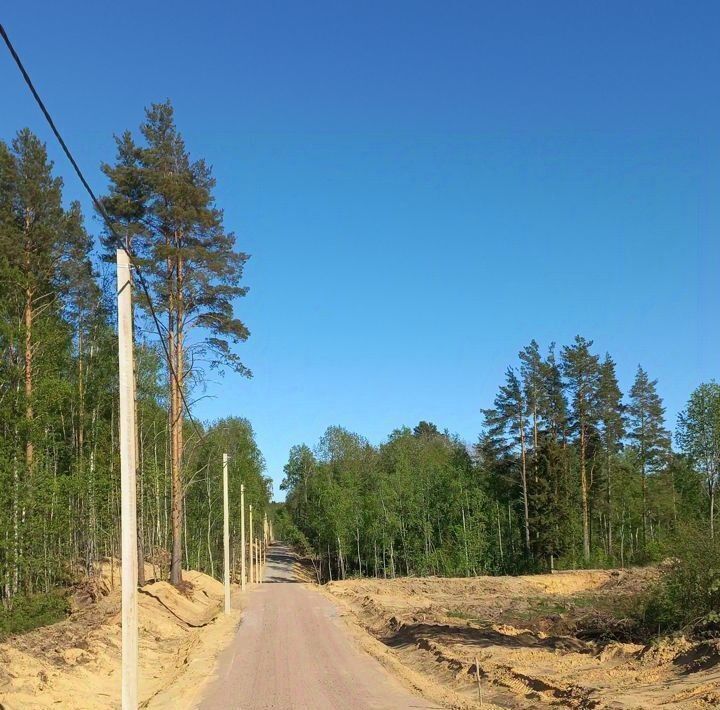 земля р-н Всеволожский Токсовское городское поселение фото 7