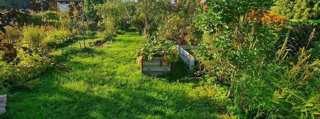 земля городской округ Орехово-Зуевский д Яковлевская снт Омега 70 фото 1