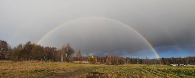 р-н Гаврилов-Ямский Шопшинское сельское поселение, Красные Ткачи фото