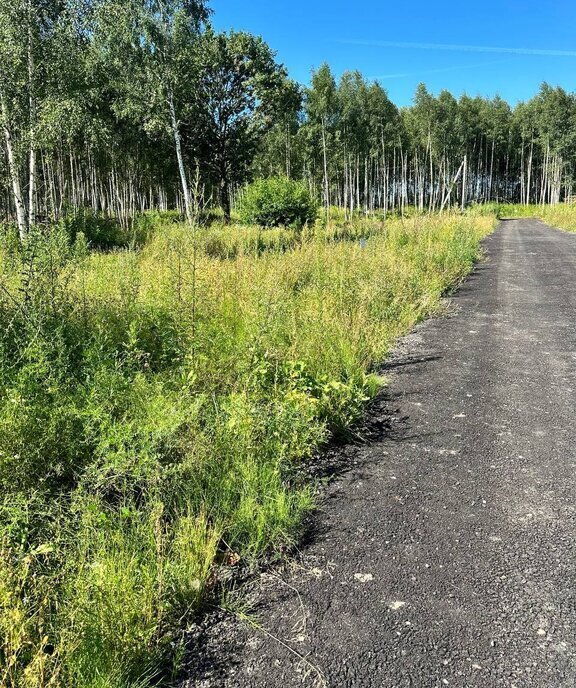 земля городской округ Дмитровский д Федоровское фото 30