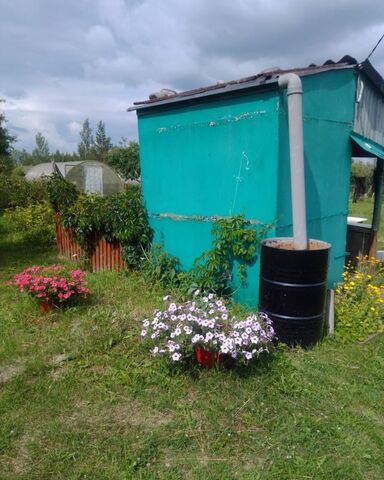 рп Панковка Ермолинское сельское поселение, массив Ляпино, Дружба-5, садоводческое товарищество фото