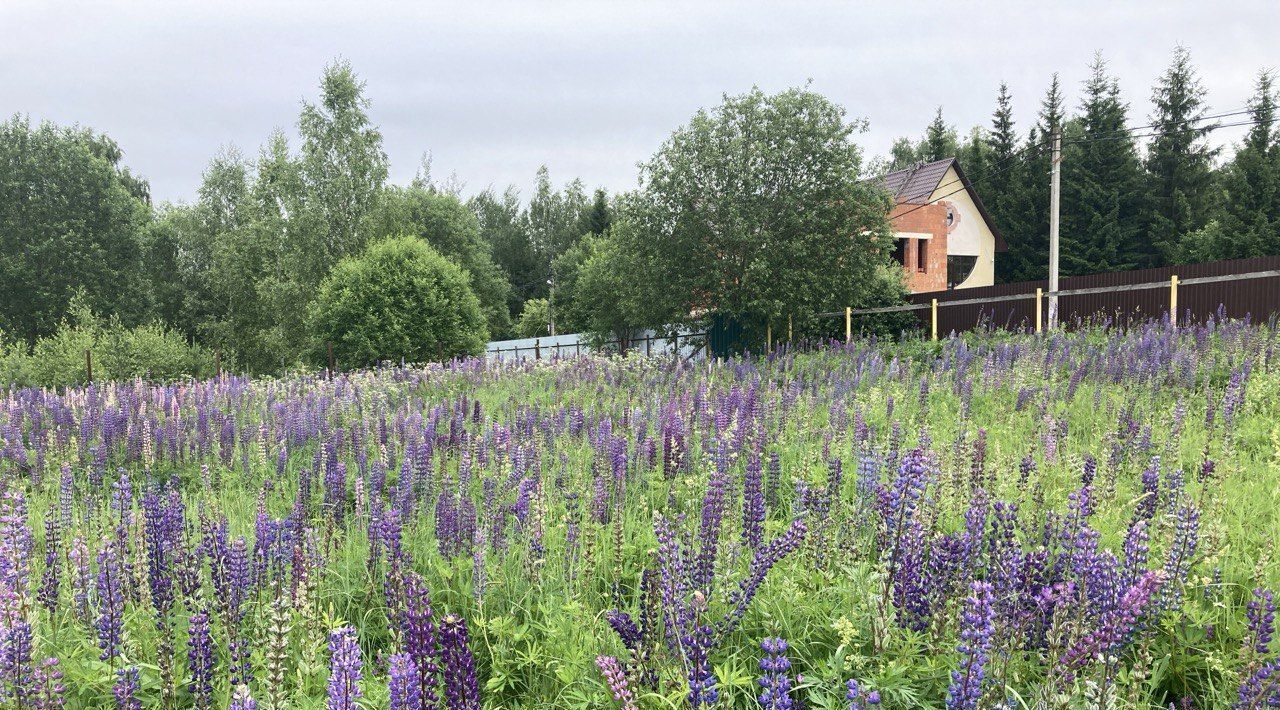 земля г Одинцово снт Кубинка Одинцовский городской округ фото 6