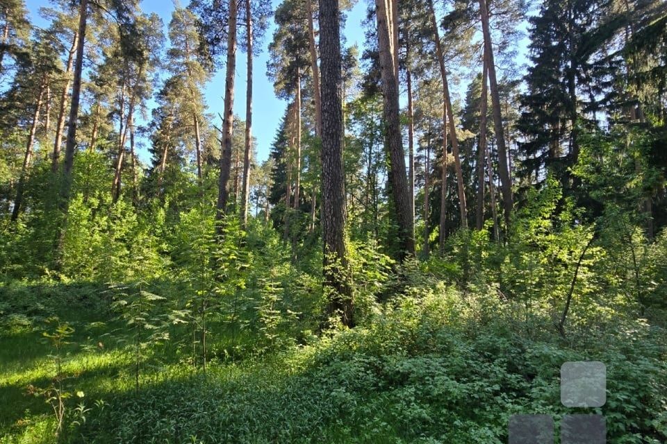 земля городской округ Раменский дачный посёлок Кратово, коттеджный посёлок Кратово фото 4