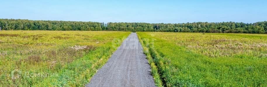 земля городской округ Домодедово коттеджный посёлок Есенино фото 3