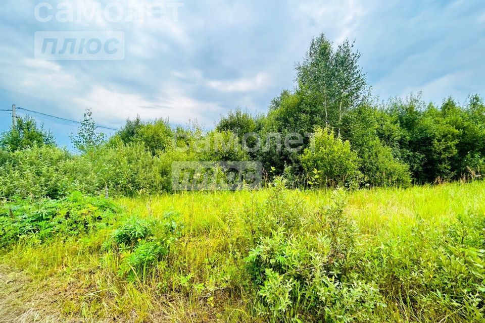 земля городской округ Богородский село Стромынь фото 9