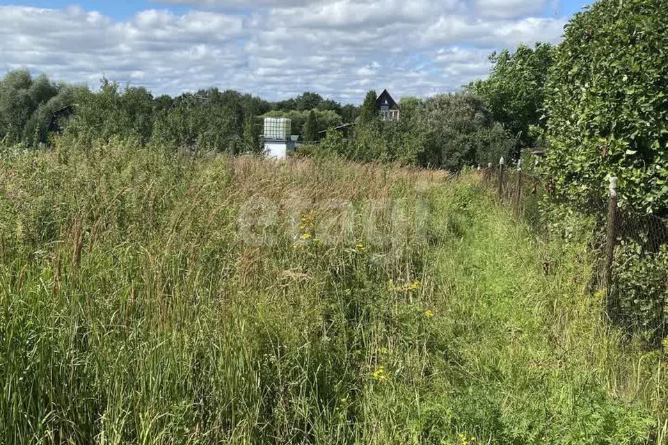 земля городской округ Чехов деревня Солодовка фото 9