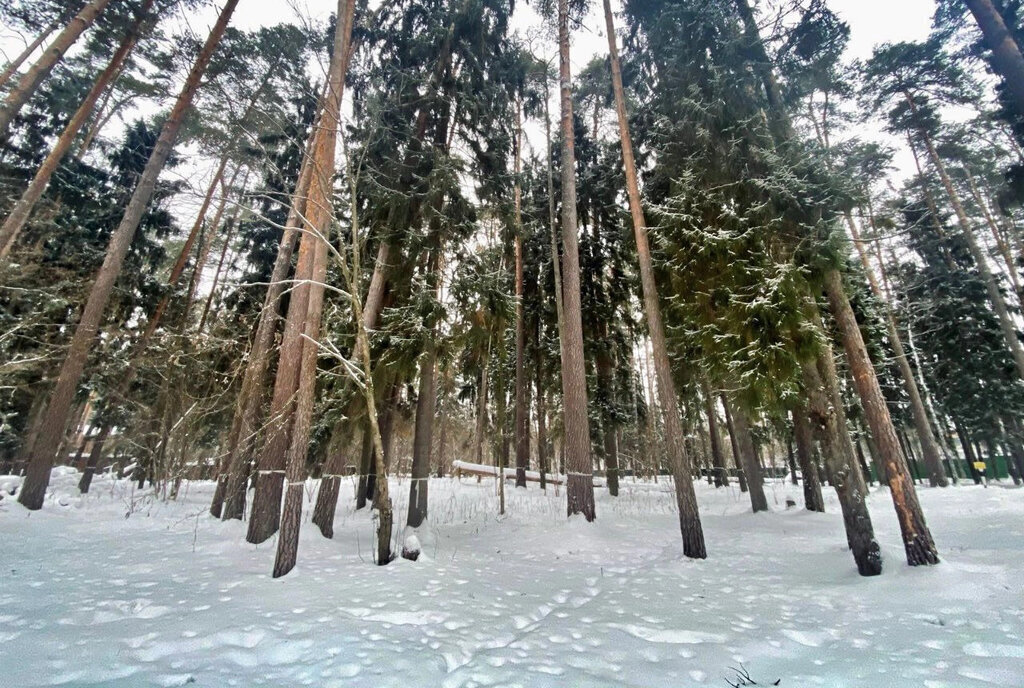 земля городской округ Одинцовский п Николина Гора Баковка, коттеджный посёлок Сосновый Бор фото 3